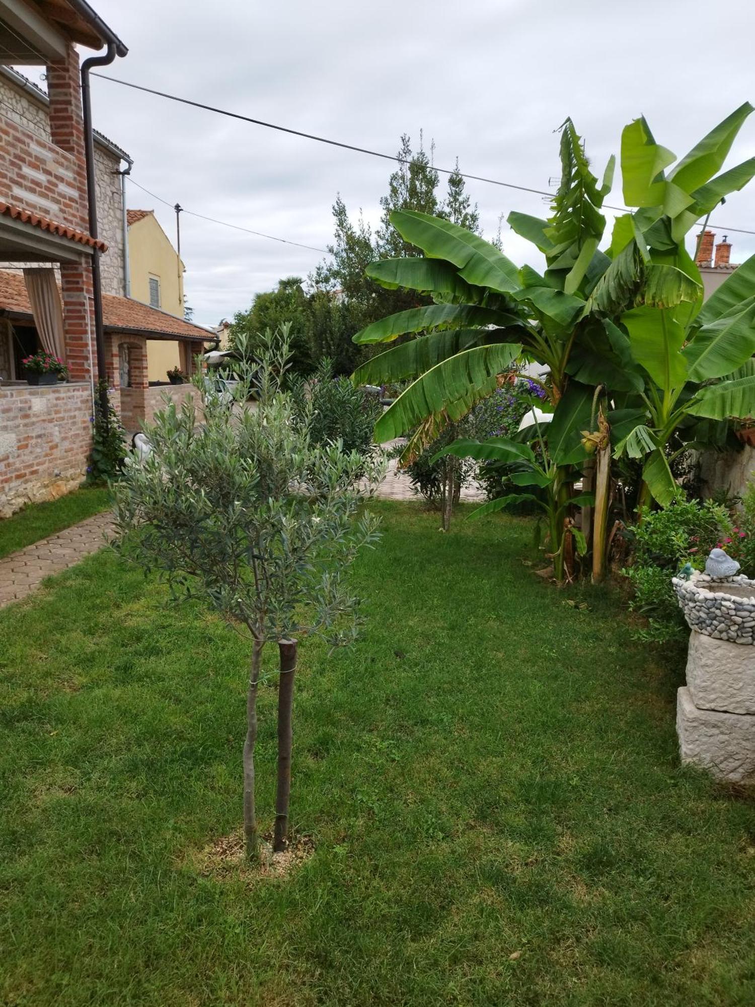 Memic 100m Od Mora Apartment