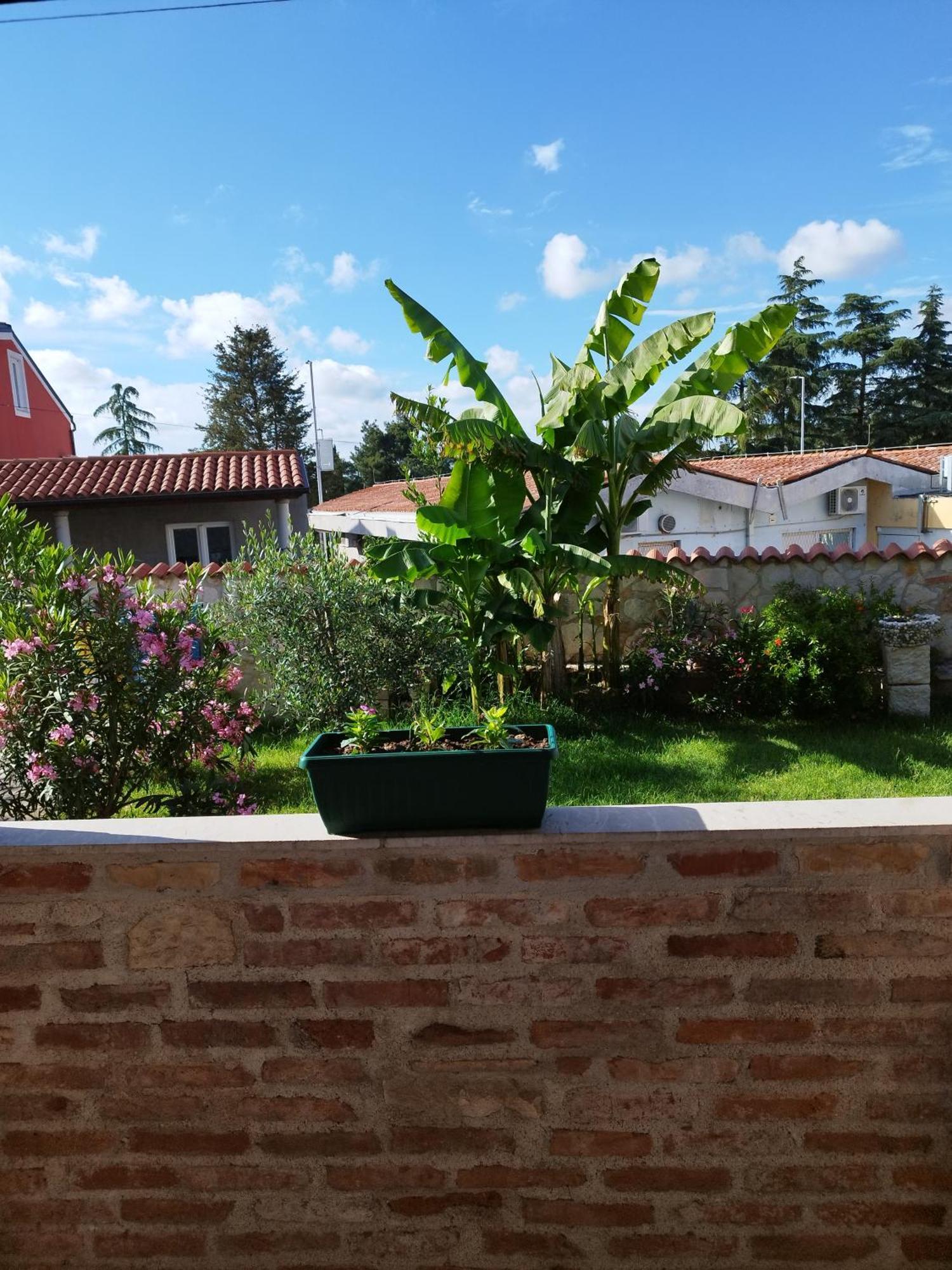 Apartment Memic 100m Od Mora