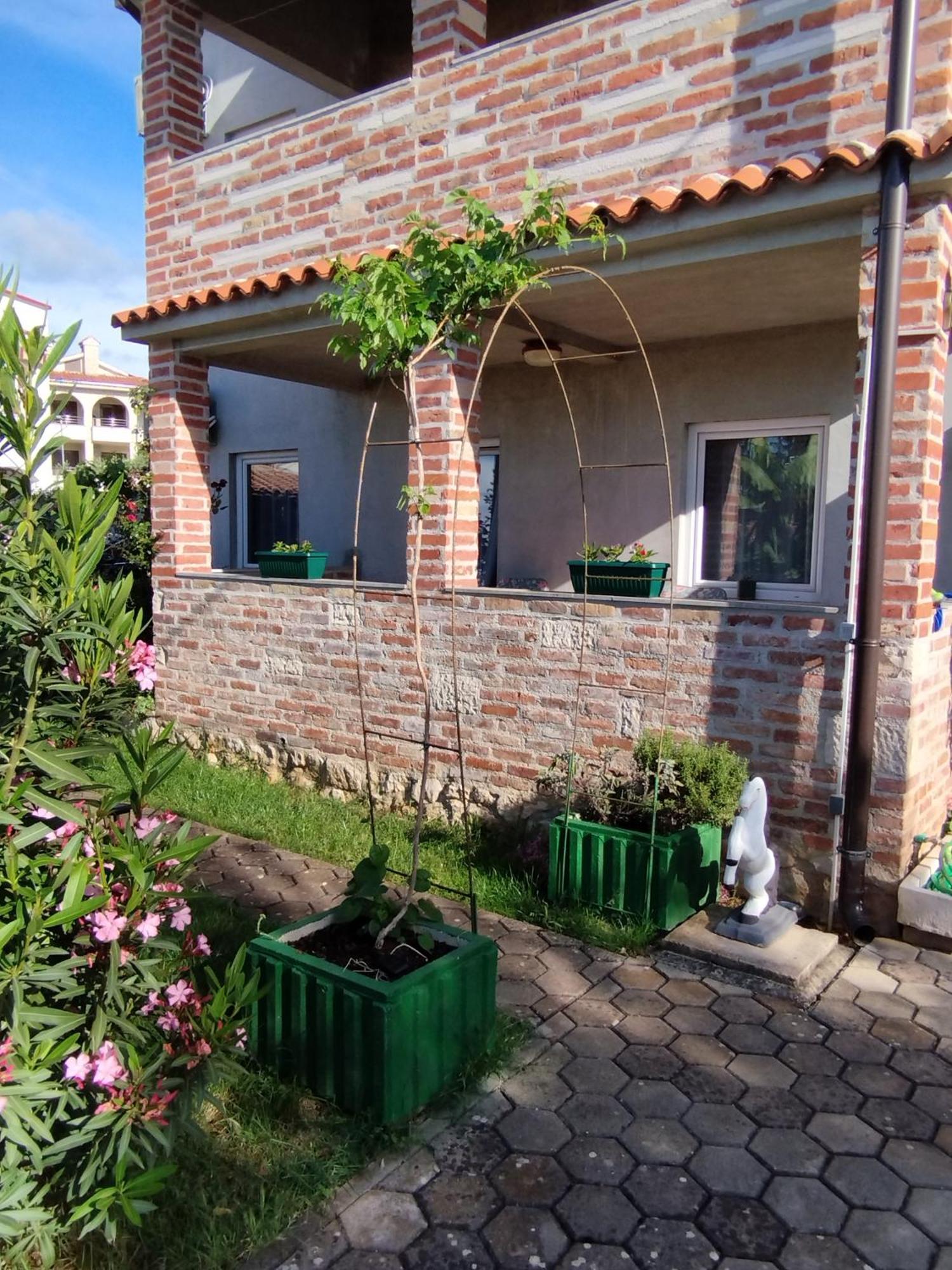Memic 100m Od Mora Apartment Porec